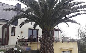 Le palmier
